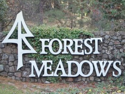 Forest Meadows Real Estate